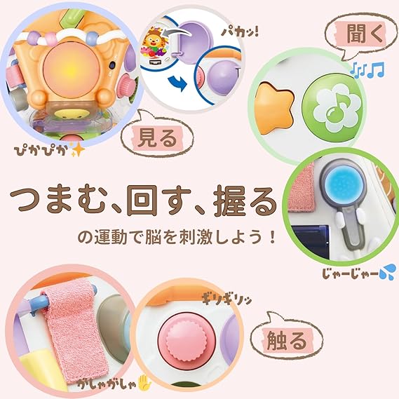 トイローヤル たのしく知育! やみつきボックス+ ( 知育玩具 / 指先遊び