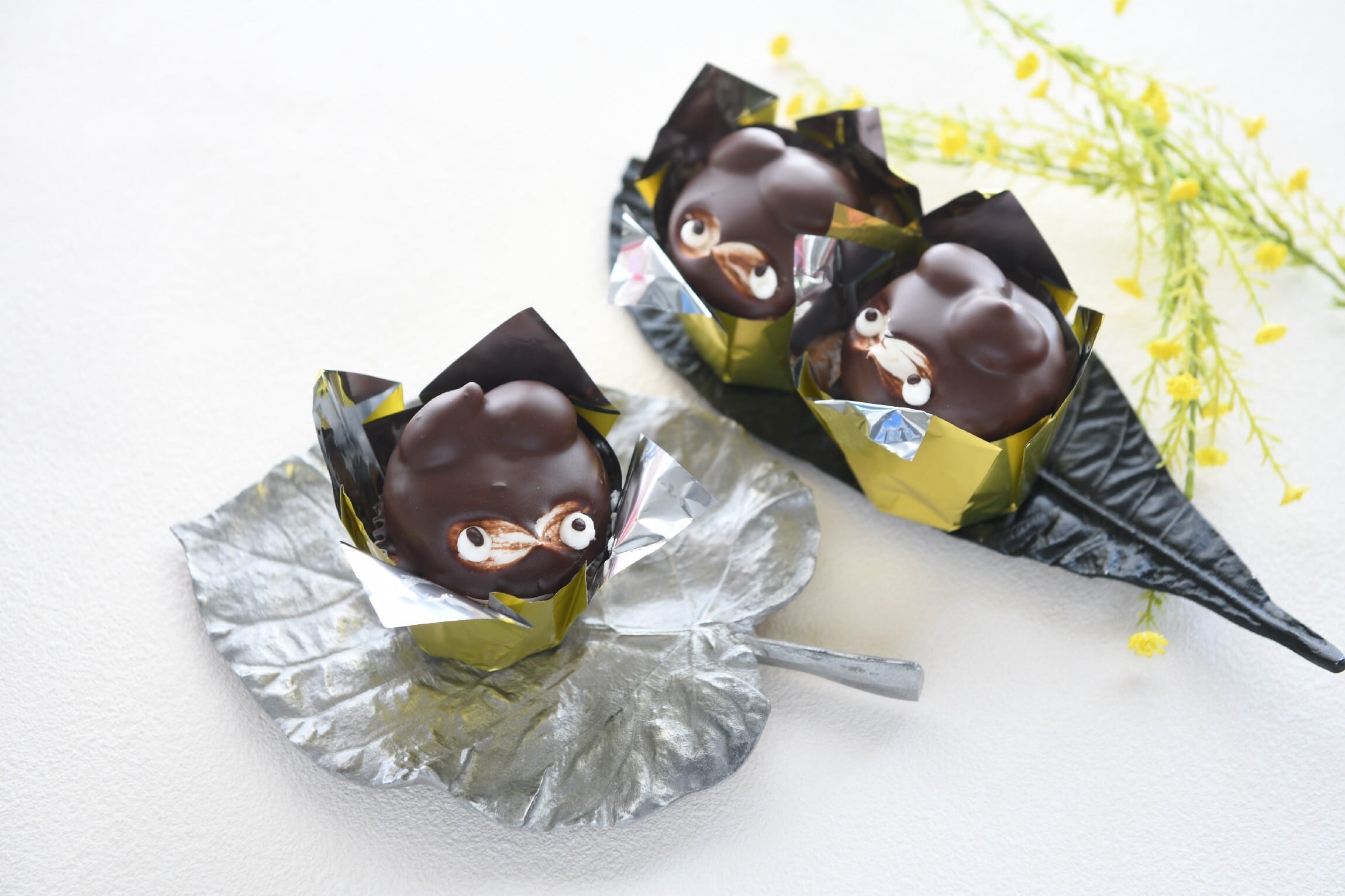 たぬきケーキ5個入 | pâtisserie OOTAKE -大竹菓子舗 りんごの国・青森