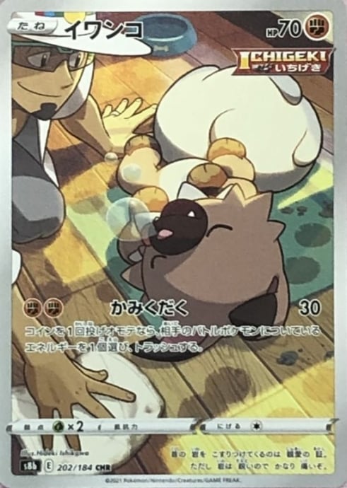 【Bランク】イワンコ(CHR)