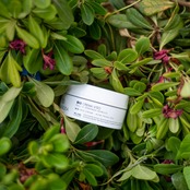 SAMPLE ITEM