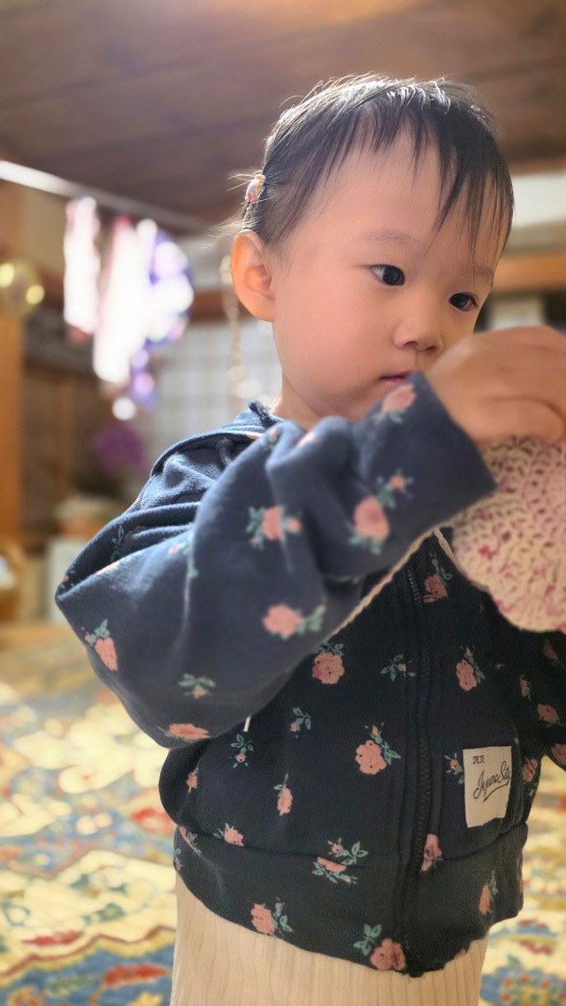 JEJEUNOSITY / croiffle hood zipup