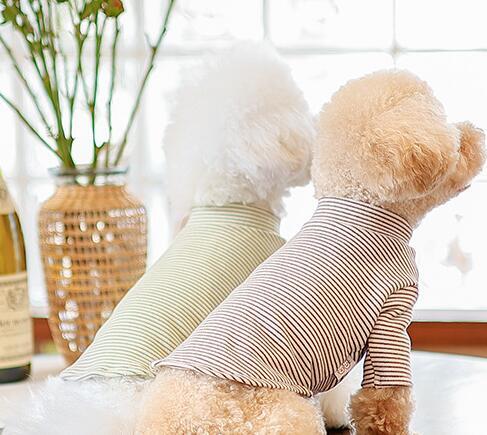 《予約》№1101870 ハイネック長袖ボーダートップス