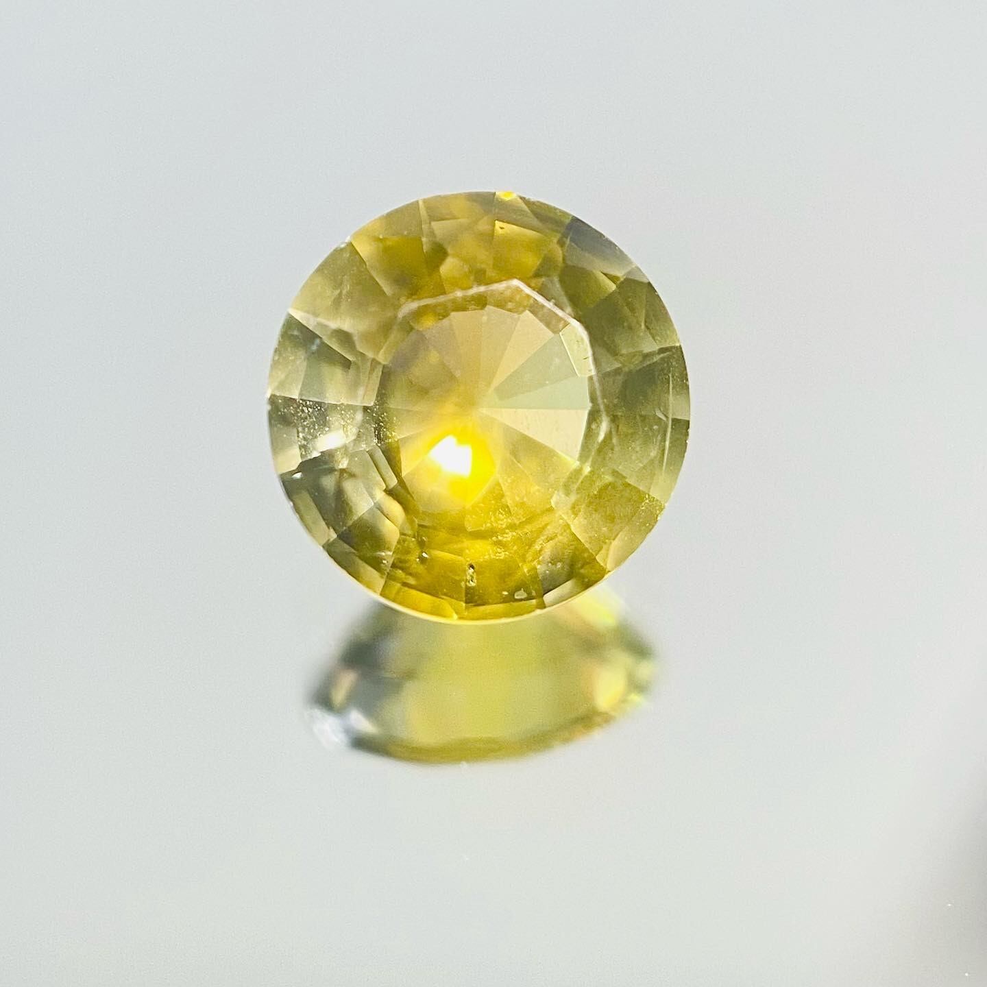 菜の花に青空　サファイア