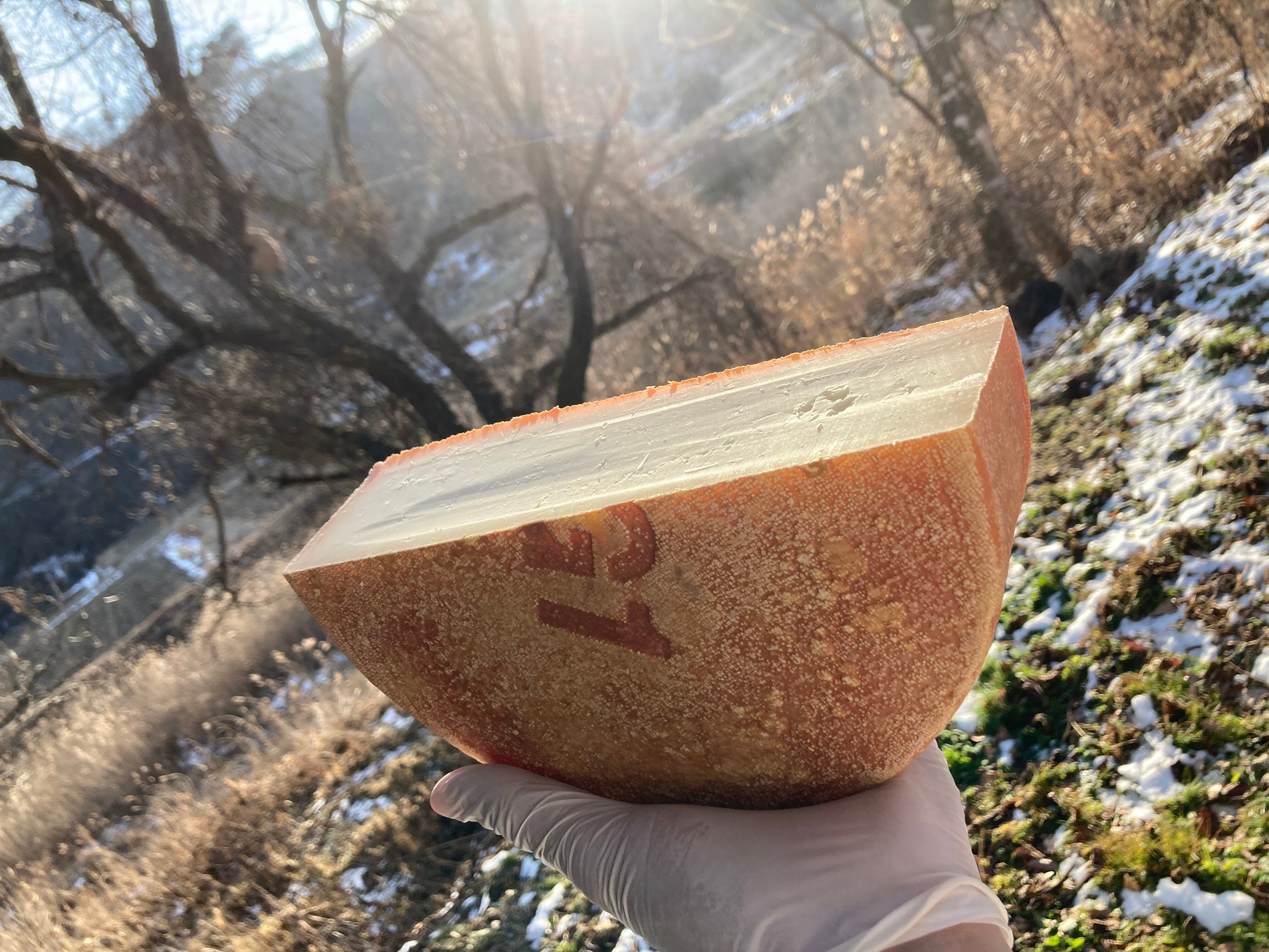 【11個】クロス2個 チーズ4個 エルボ5個 楽天市場】QBB おいしく健康プラス ベビーチーズ チーズDE鉄分+