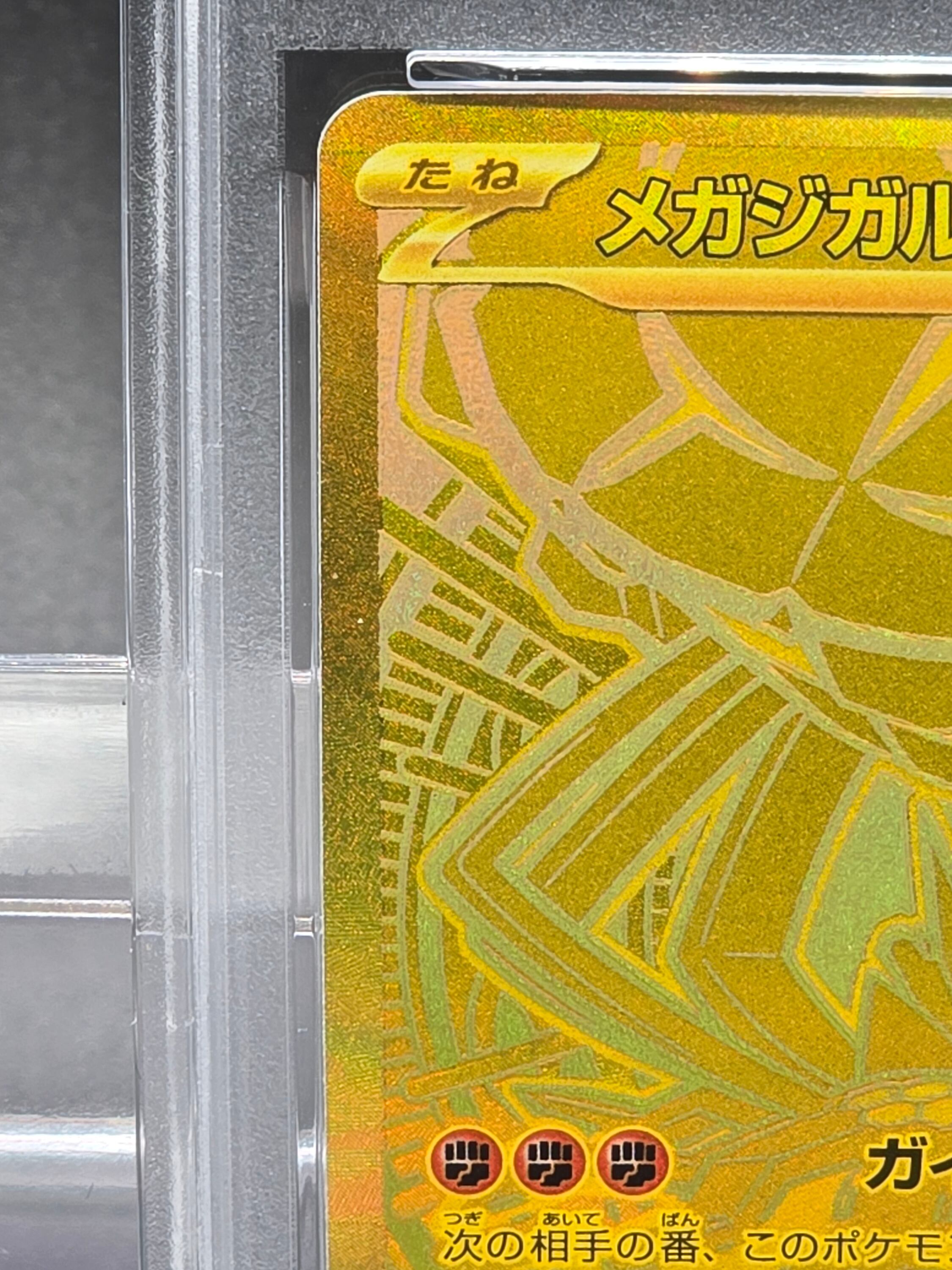 PSA10】メガジガルデEX 117/080 | ぽっけぇ～道
