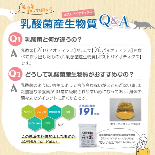 ソフィアペット 7g(1g×7包) SOPHIA for PETS 乳酸菌産生物質 ポスト