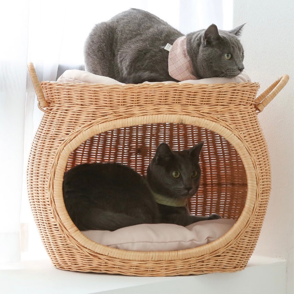 rattan pet house B / ラタン ペットハウス クッション付き 2段