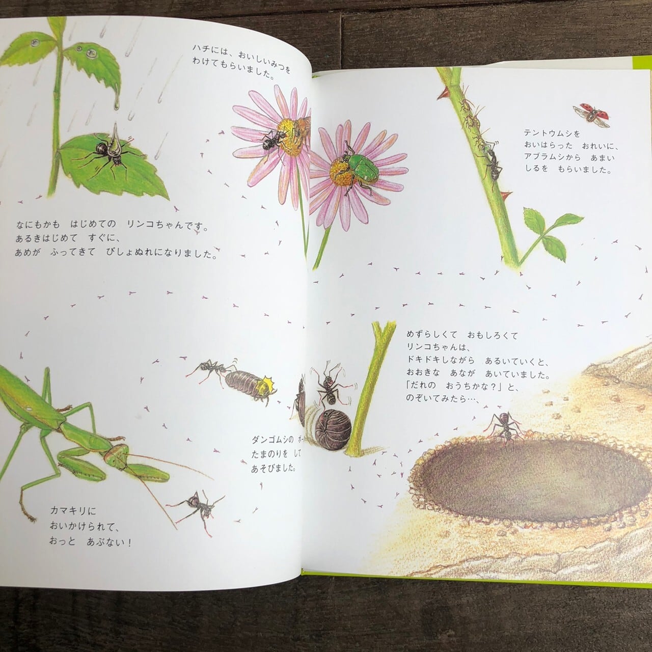 サイン本 母恋いくらげ | maintent