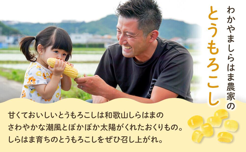 とうもろこしLサイズ12本（上限に達したため販売を終了いたします