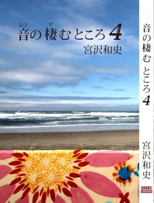 宮沢和史『音の棲むところ4』