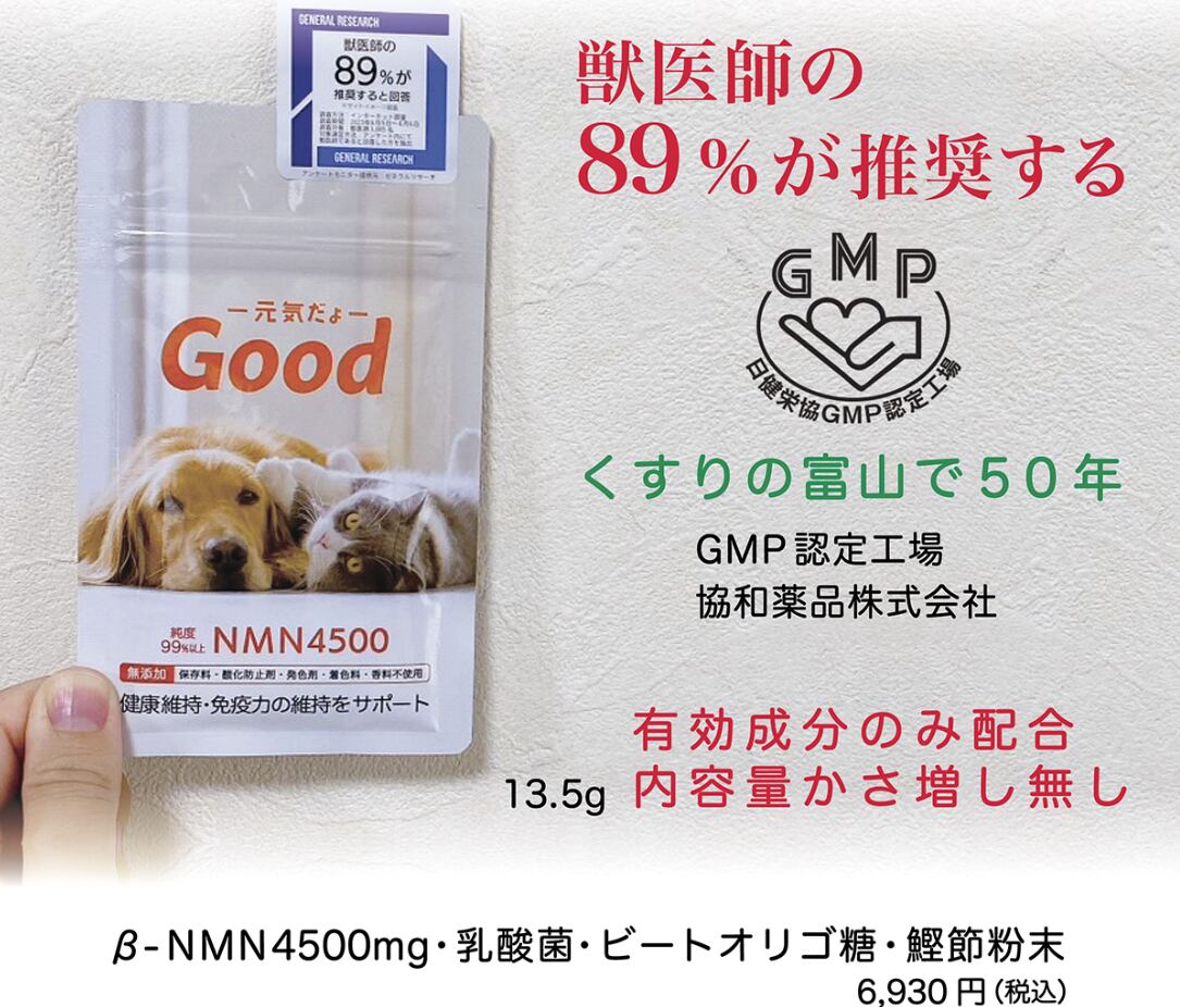 ムーブマックス120粒新品未開封×６袋 ムーブマックス120粒新品未開封×6袋 ムーブマックス MoveMax 小粒 新発売