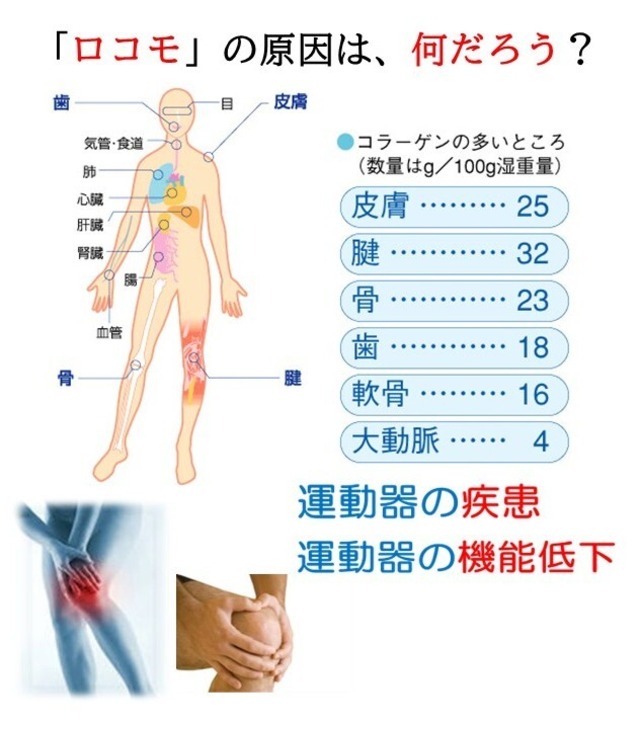 イワンケ