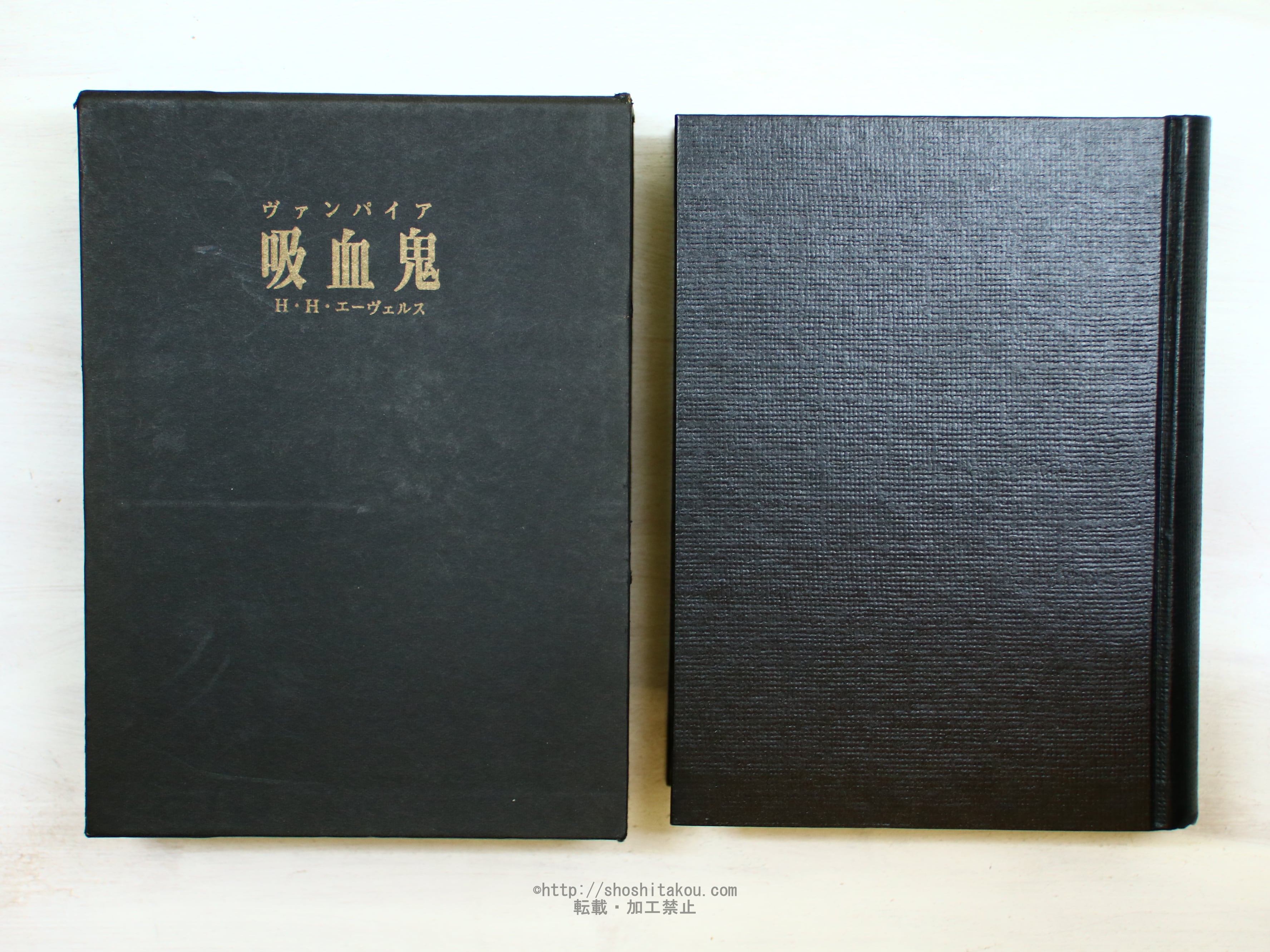 吸血鬼　ヴァンパイア　エーヴェルス 吸血鬼 ヴァンパイア / H.H.エーヴェルス 前川道介訳 [34213] | 書肆田高