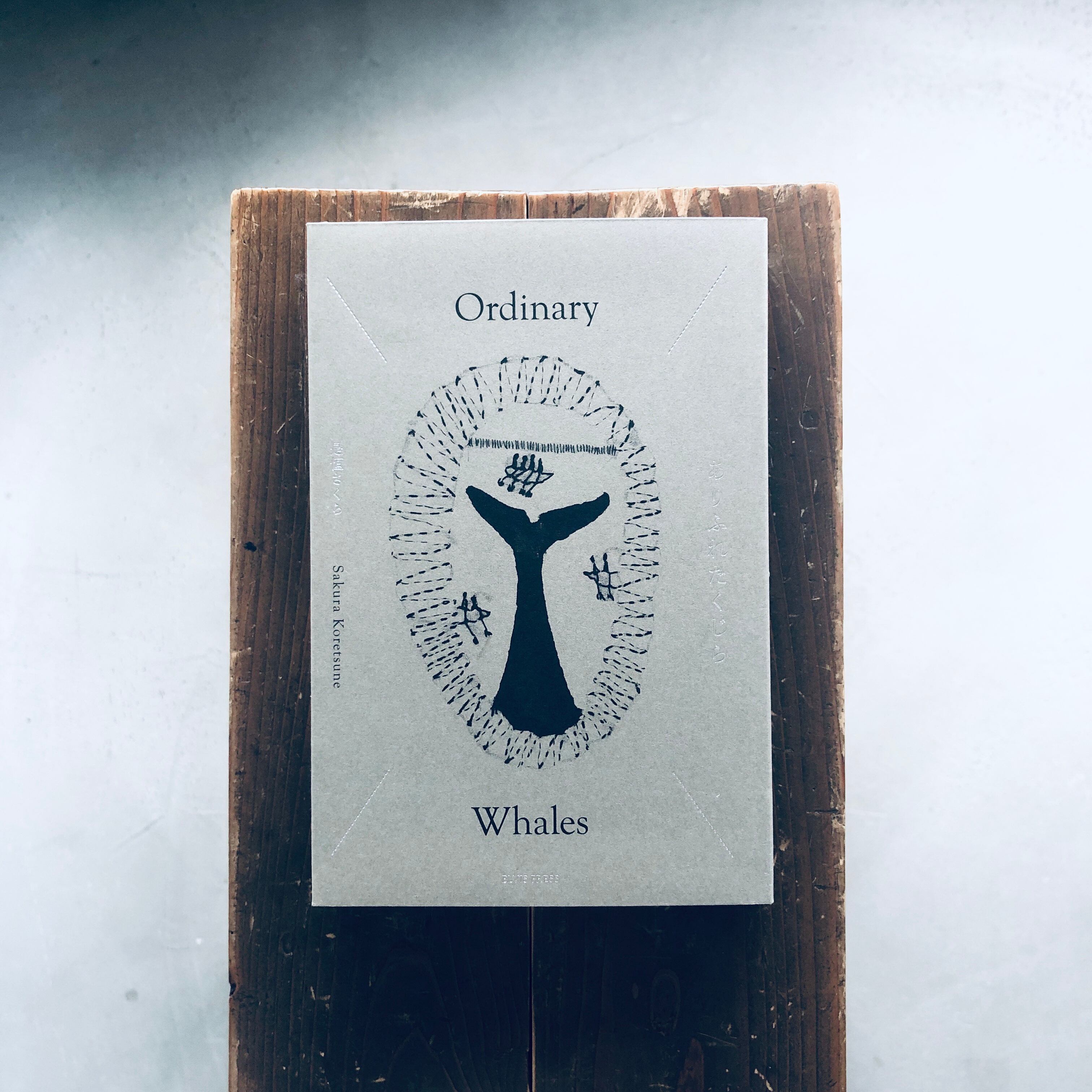 ありふれたくじら Ordinary Whales｜是恒さくら | 本の轍