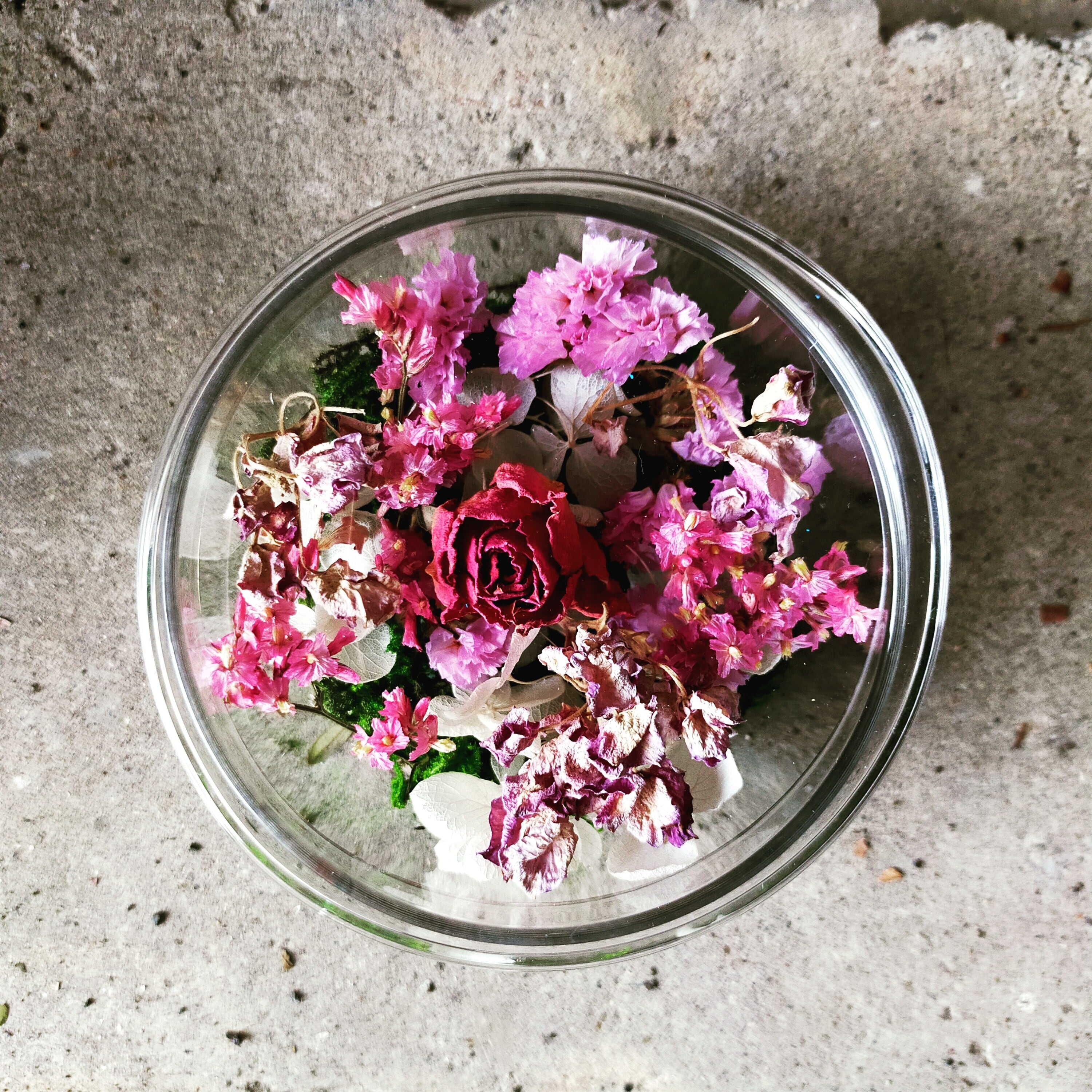 ドライフラワーインケースS【dried flower in case 】 | merry_go_round