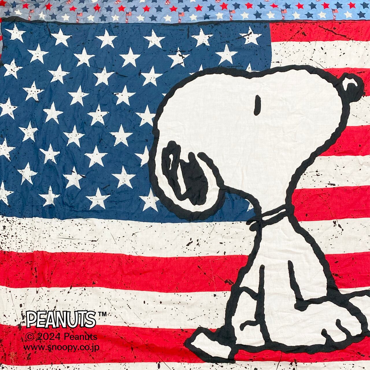 オットトレディッチ スヌーピー ピーナッツキャラクター ストール