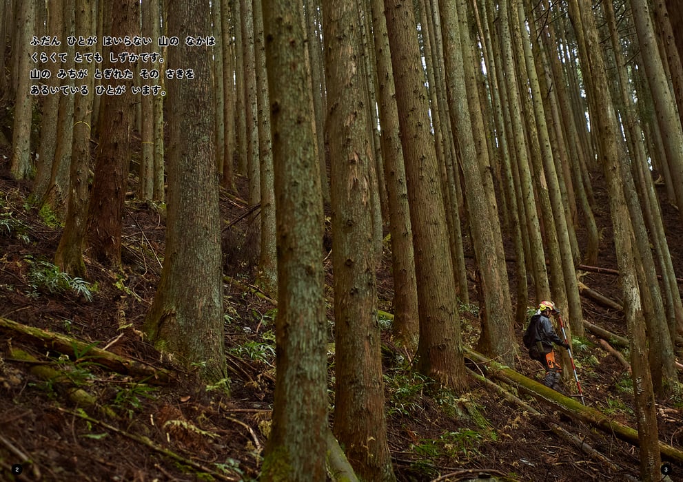 しゃしん絵本「山の木、とどけ！〜つなげるつながる木の仕事