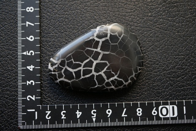 セプタリアン Septarian 1811