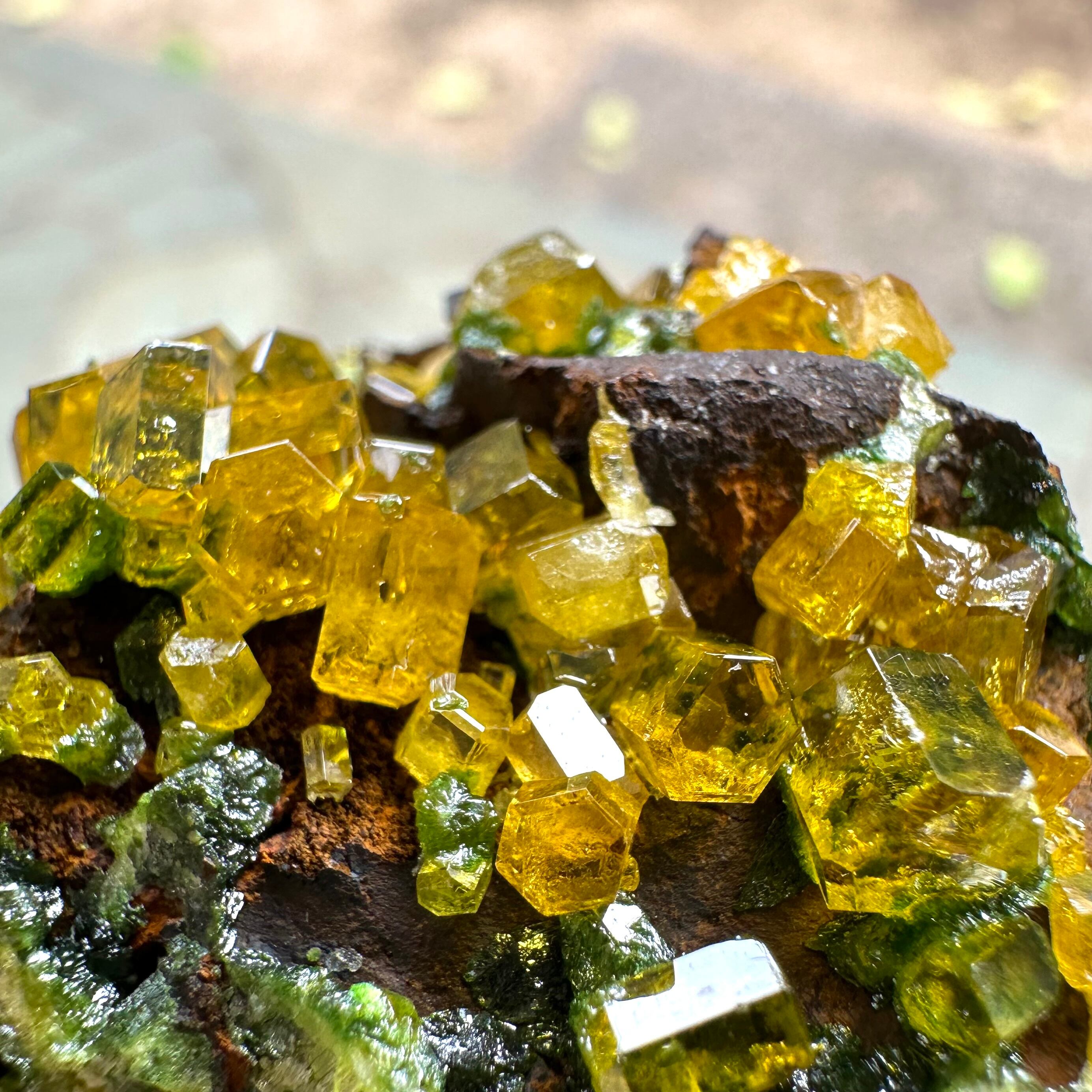 ミメタイト【Mimetite】コンゴ共和国産 | PEANUTS MINERALS