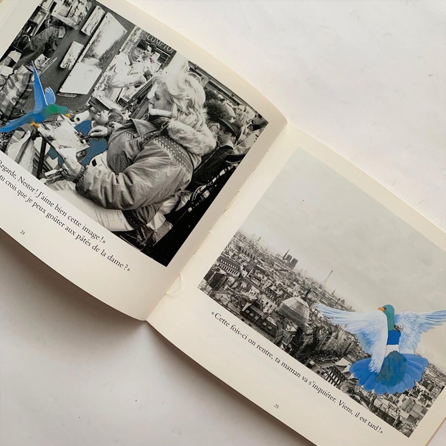 Petits Bleus Dans Paris パリの青い鳥 ヴェロニク ウィルマン ジョエル ルブロン作 本まるさんかくしかく