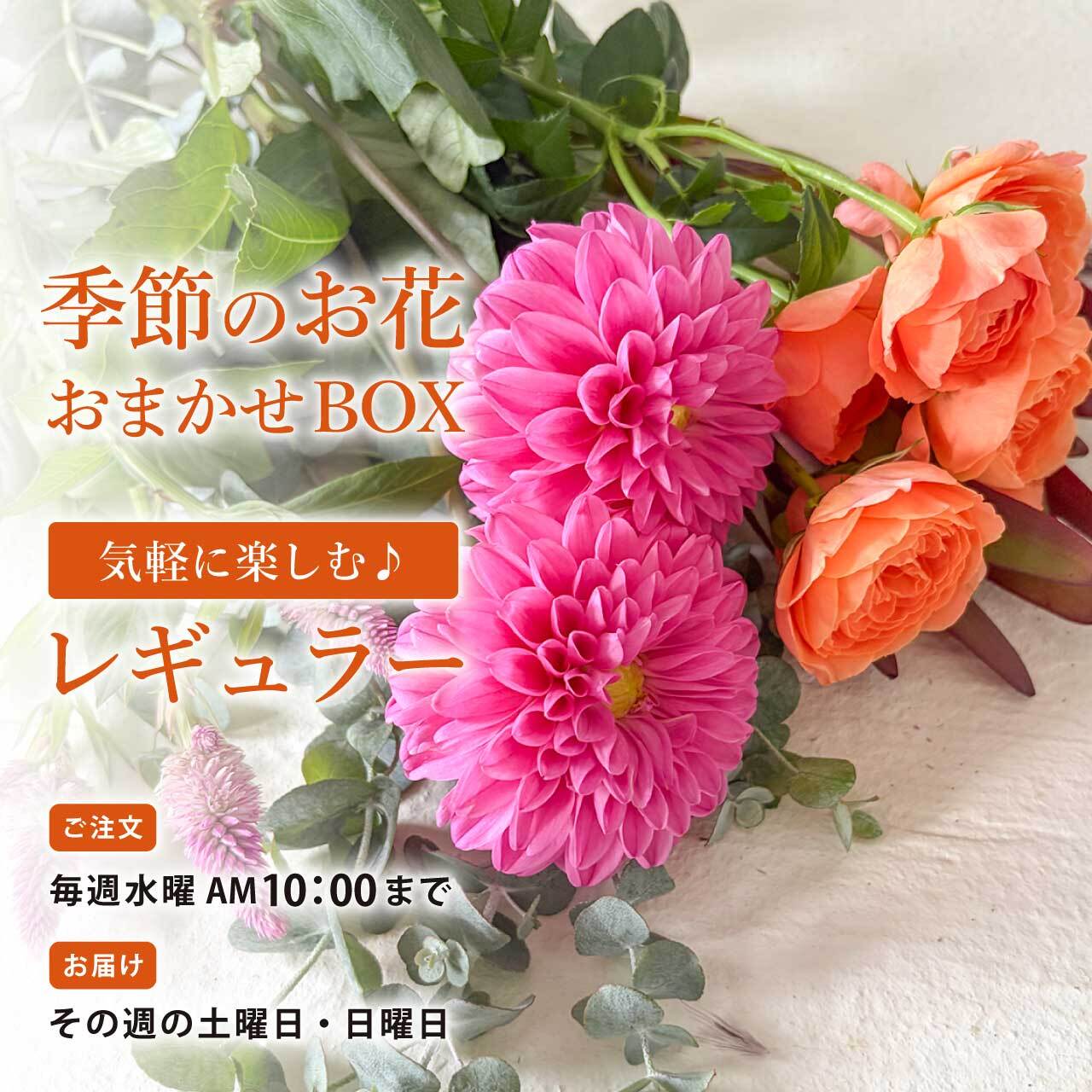 季節のお花 おまかせBOX《レギュラー》|月替わりの切り花・生花セット〈フラワーロス削減〉