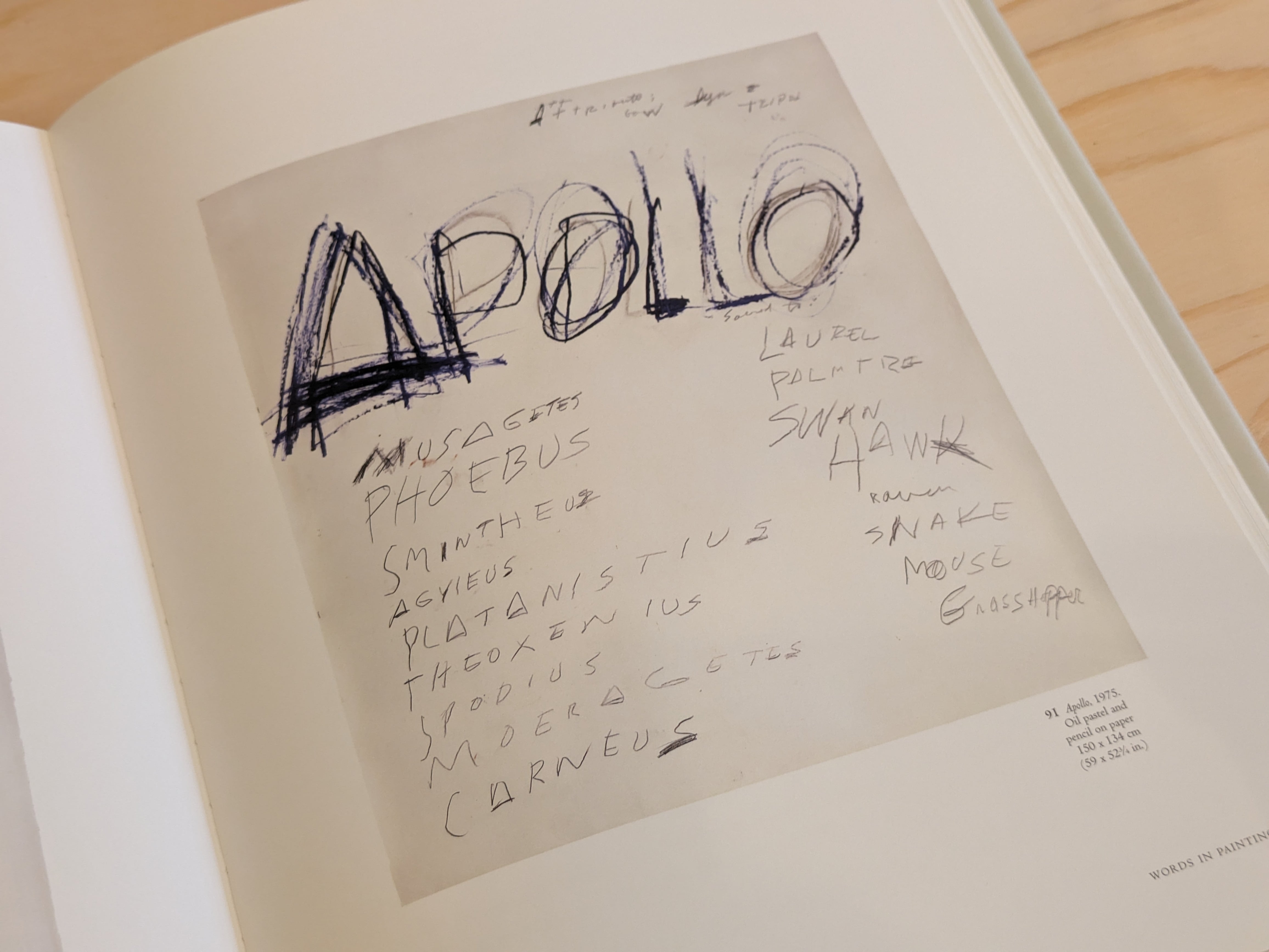 洋書 古本】Cy Twombly : A Monograph / サイ・トゥオンブリー 