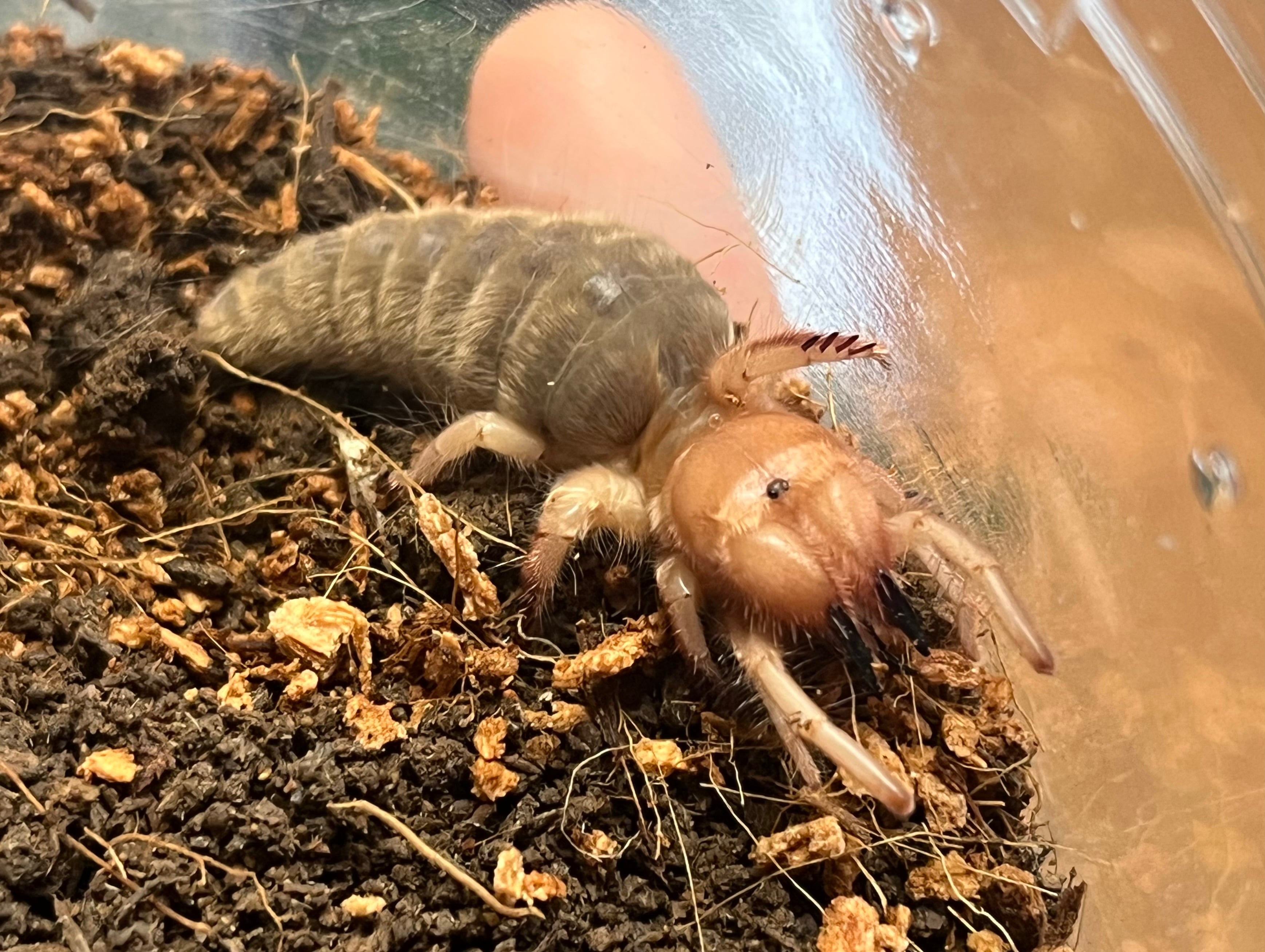 01d1b82d2ad0e203ff7929a3cb0a5a