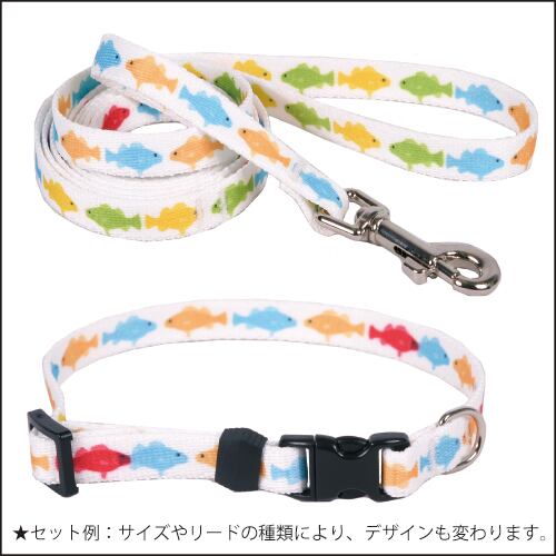 Rainbow Fish White 首輪＋リードセット　XSサイズ - Yellow Dog Design