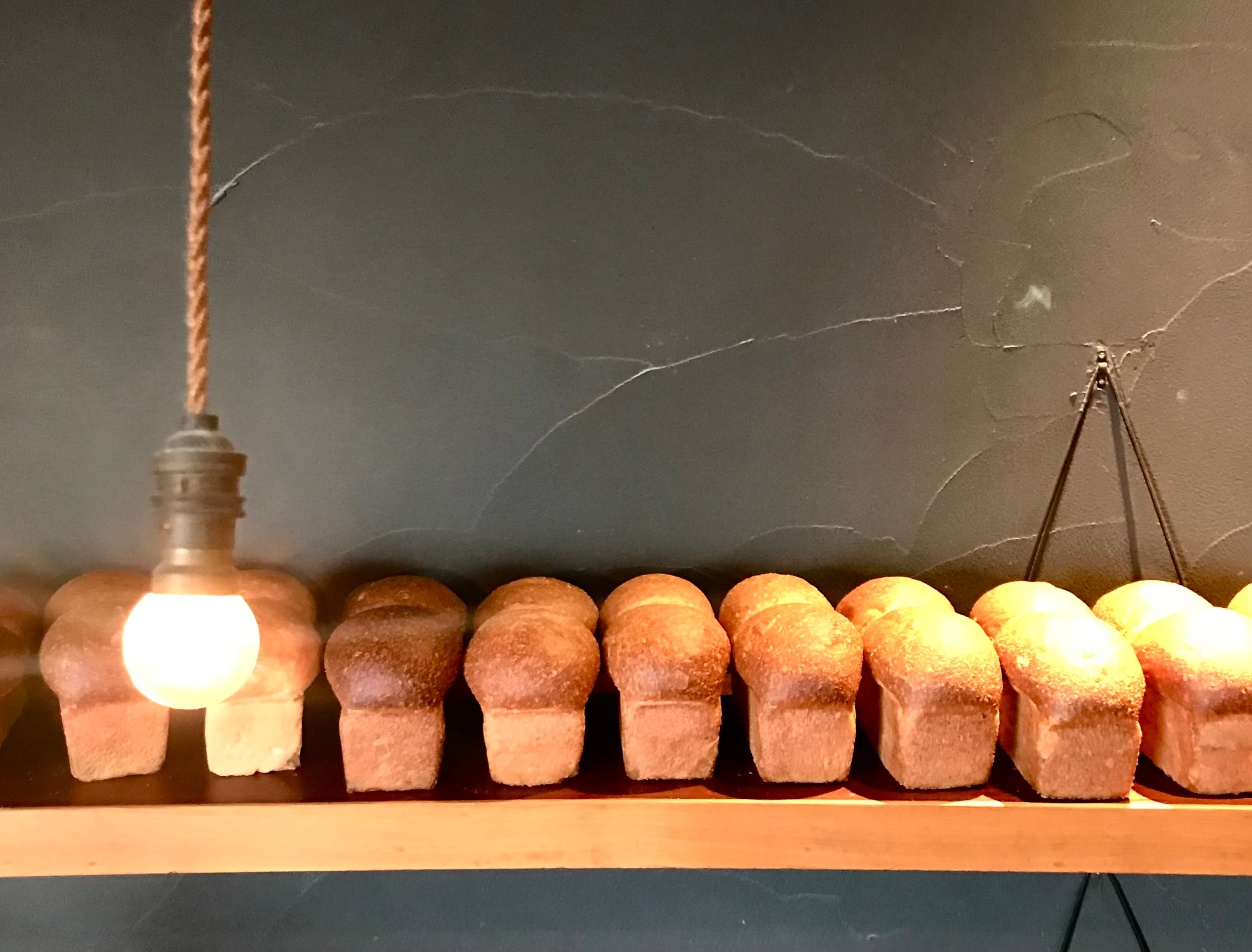 【4/26までに発送】パンドミ6