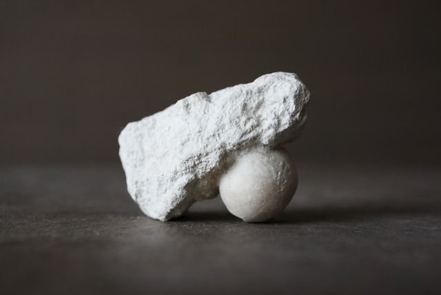 ドイツ産ウニ化石　母岩付き Conulus subrotundus 1048