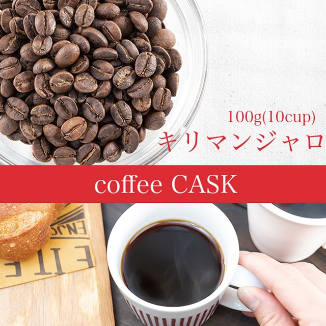 キリマンジャロ・100g（10杯分）レギュラーコーヒー　大人気！アフリカ最高峰のキリマンジャロで育ったコーヒー豆