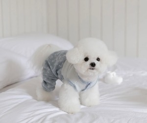 即納品【TODLEY】Petite Bear Romper(blue) Lサイズ