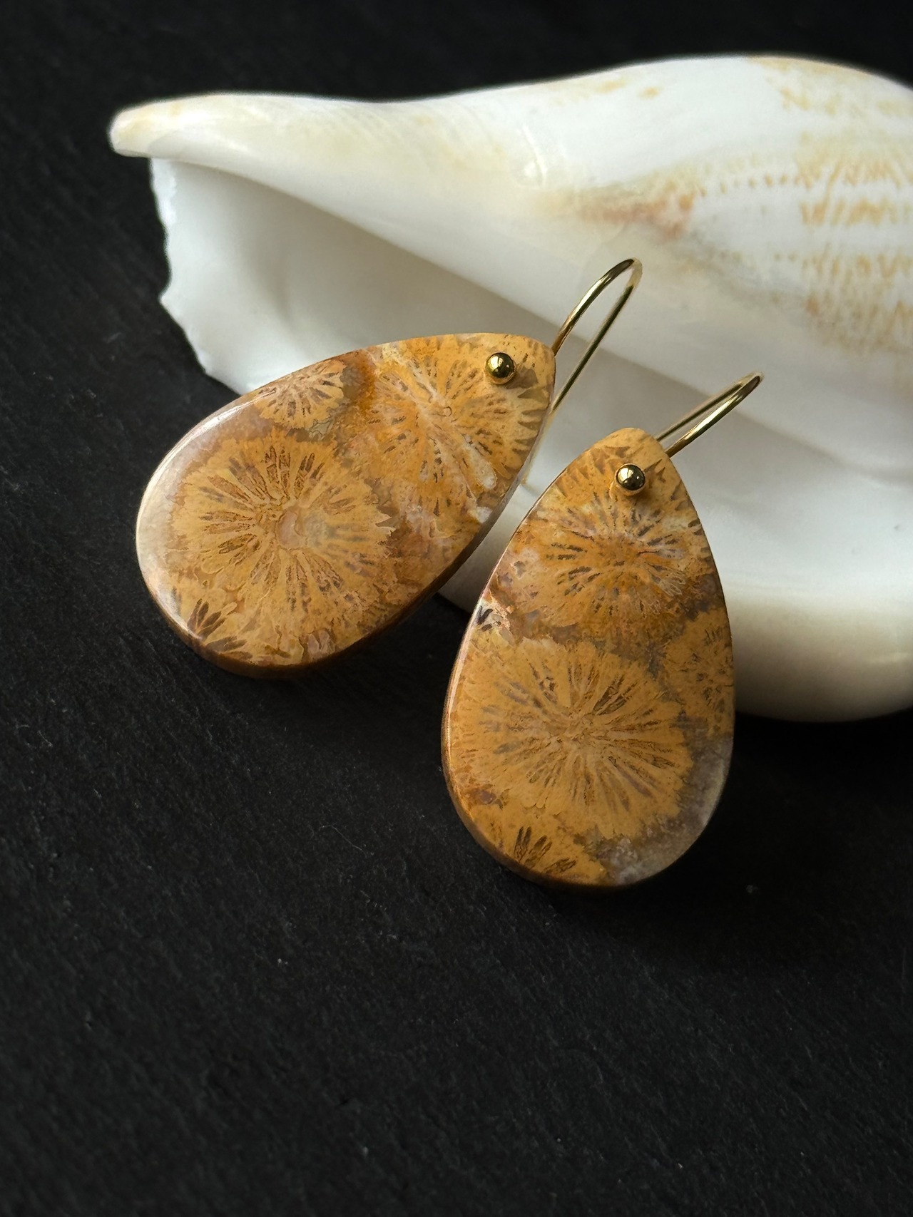 珊瑚が生み出した唯一無二の模様〈フォシルコーラル〉ピアス