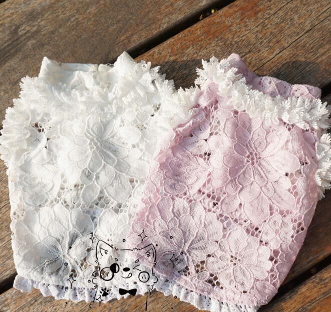 《予約》№1102980 総レーストップス