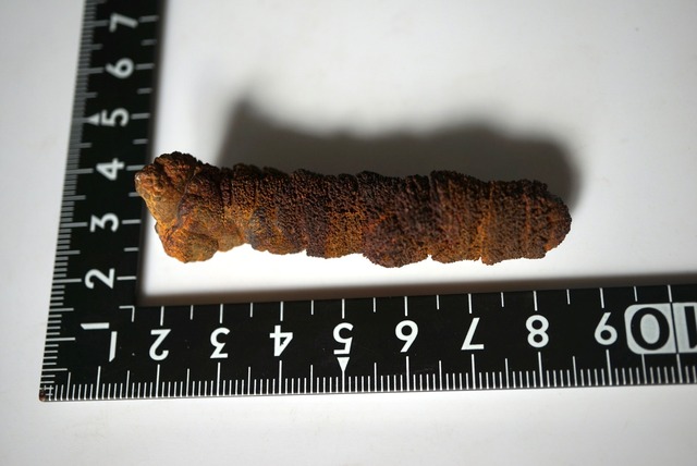 リモナイト Goethite var. Limonite 1553