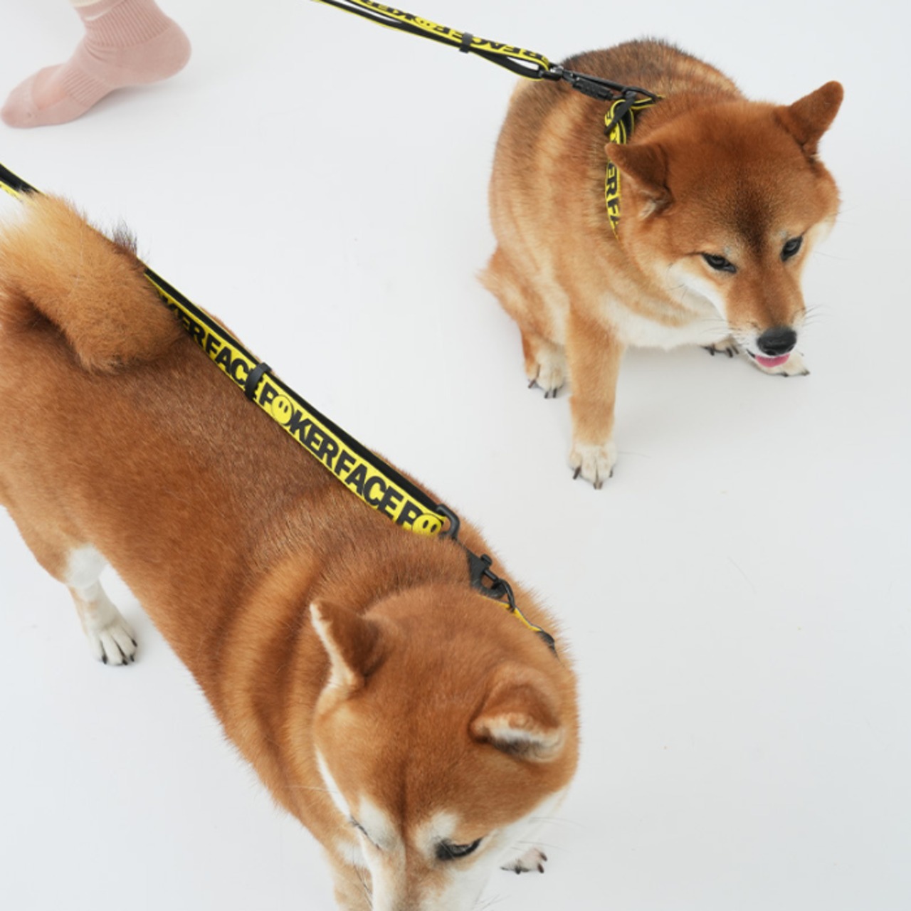 【PUPPYGALLERY公式】ポーカーフェイス・レトロフラワーリード　ML