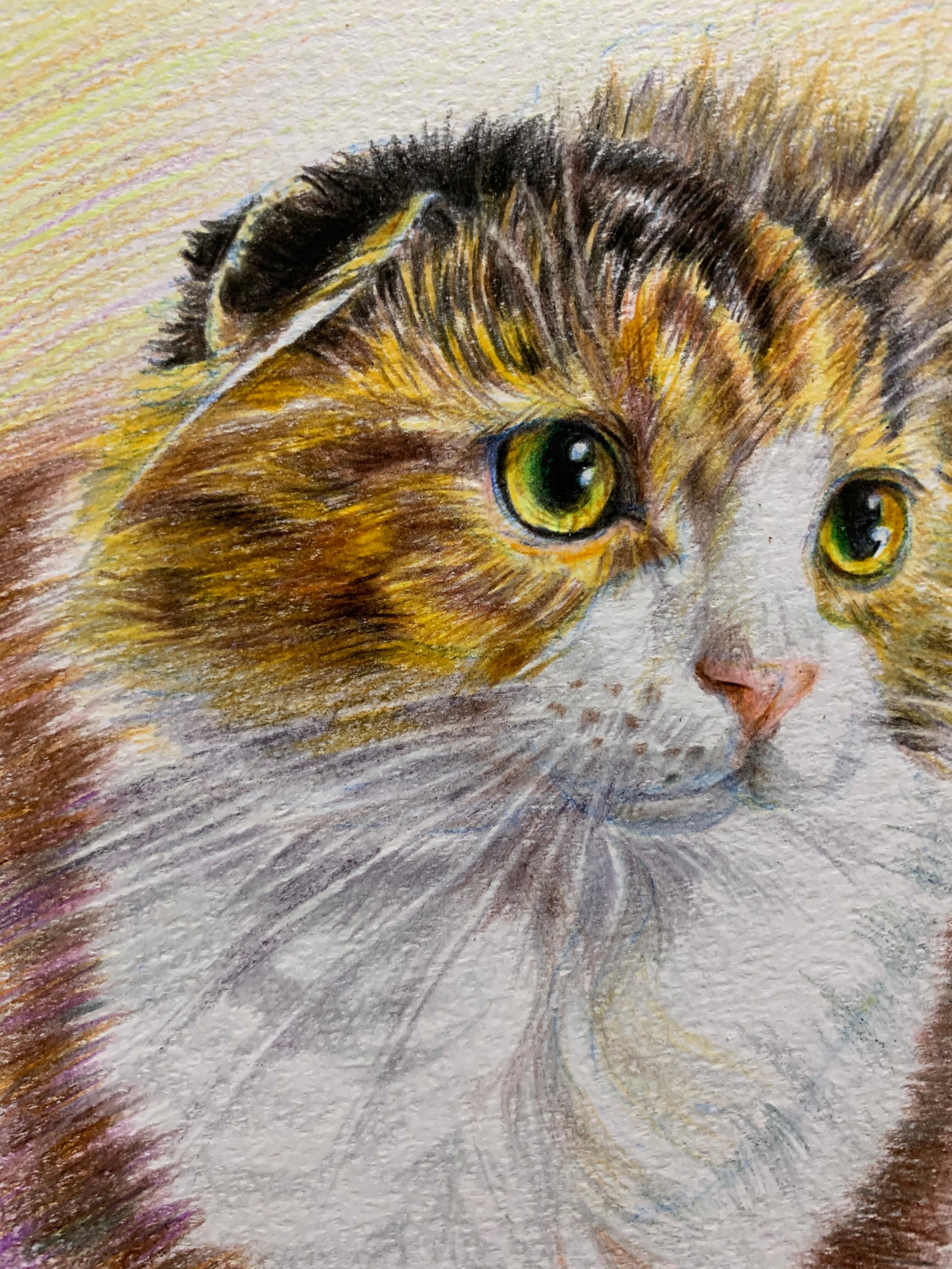 オーダーメイド色鉛筆画(ポストカードサイズ) | ペットの肖像画屋さん
