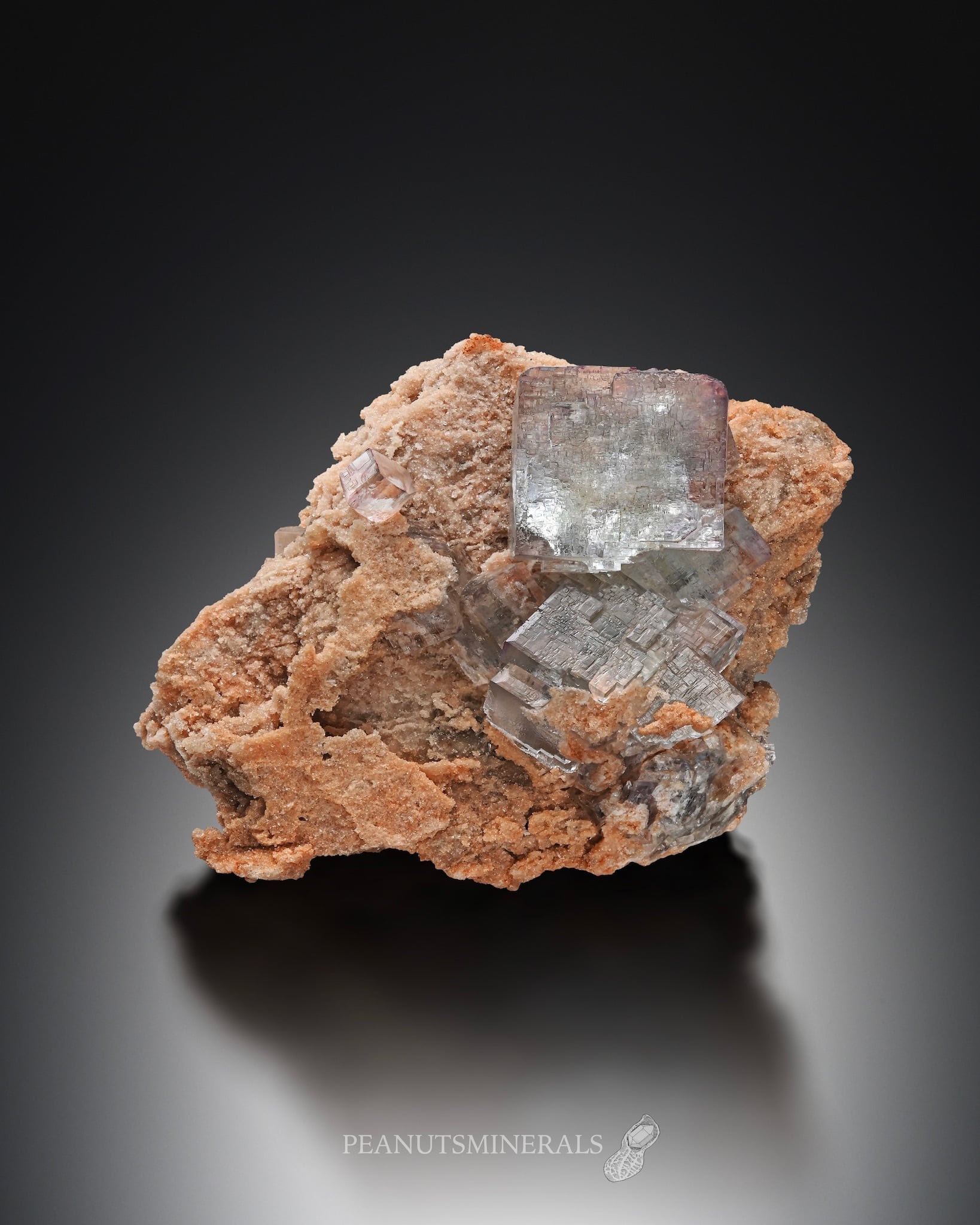 フローライト【Fluorite】ドイツ産 | PEANUTS MINERALS