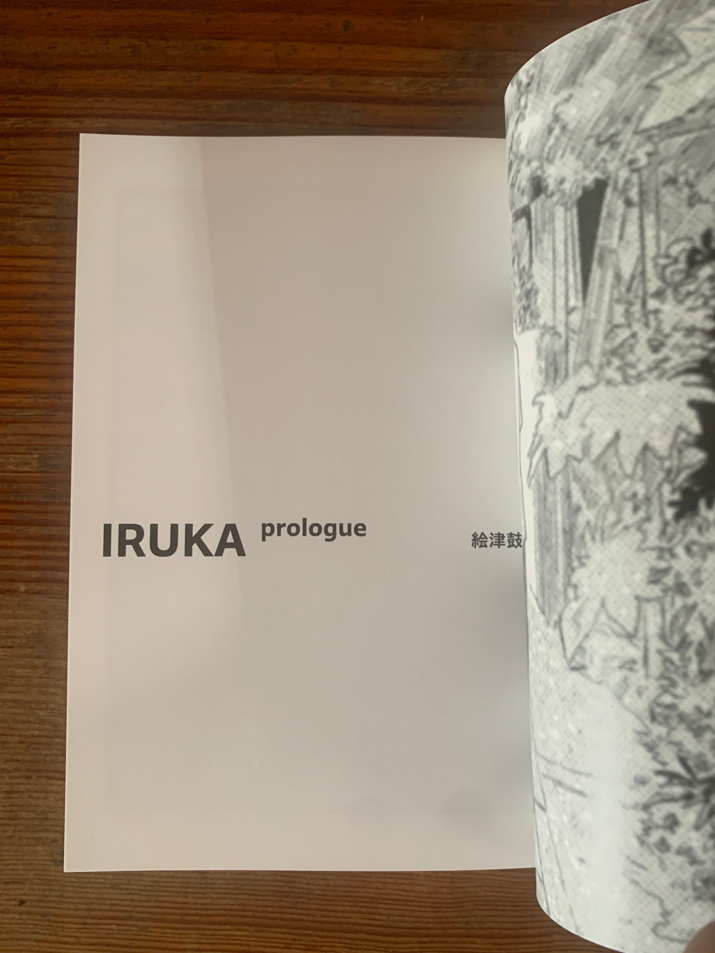 サイン本】絵津鼓『IRUKA』prologue | STANDARD BOOKSTORE