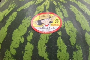 秋田夏丸（スイカ）A品 大玉 1玉
