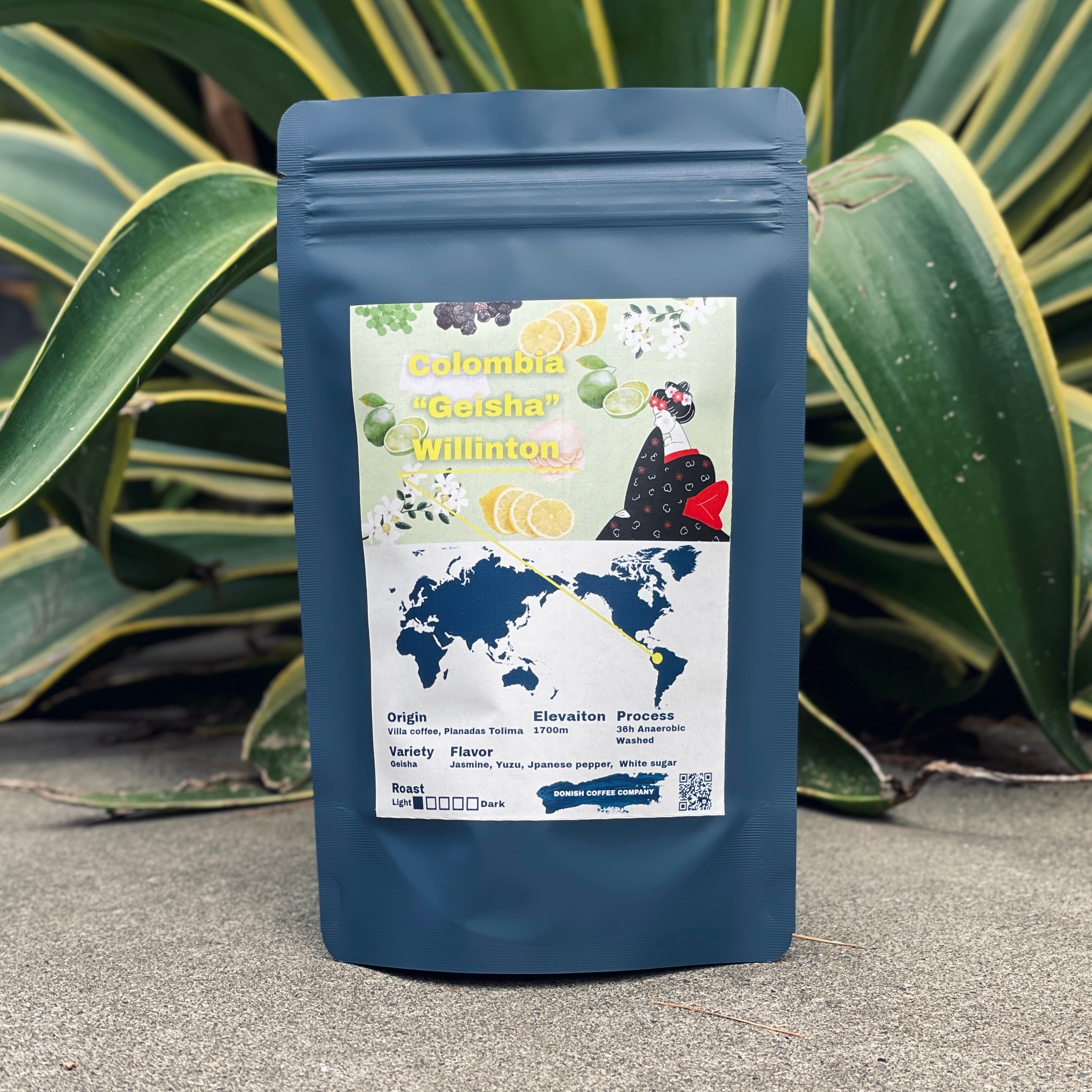 4kg 16800円（300gあたり1260円）モカ ゲイシャ 大容量 プリマロフト 