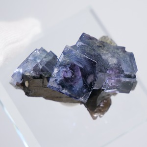 フローライト 共生 中国・ヤオガンシャン産 / 原石 標本【F_2】