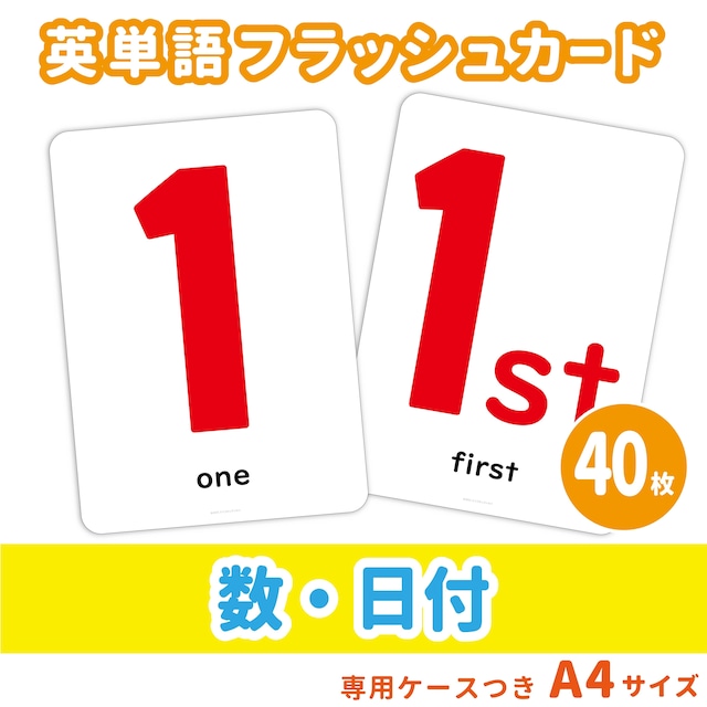 【英単語フラッシュカード】 数・日付／A4サイズ／40枚セット