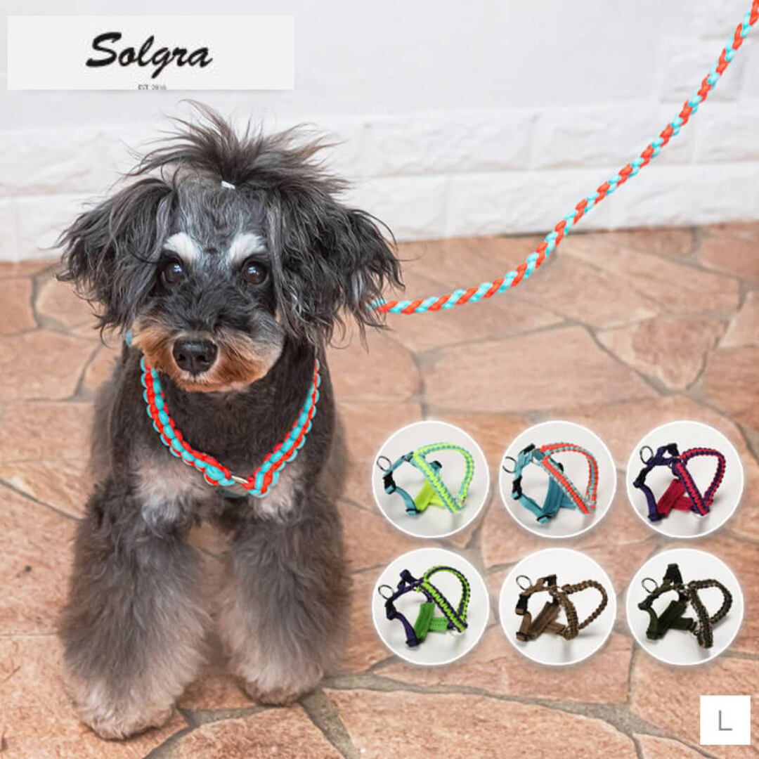 千葉犬様 リクエスト 2点 まとめ商品 千葉犬様 リクエスト 2点 まとめ商品 まとめ売り