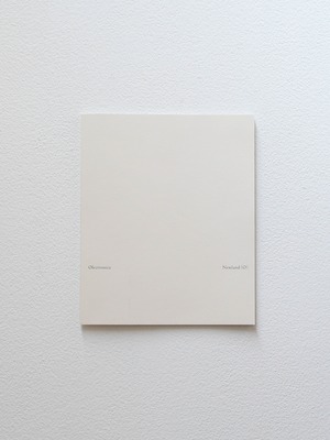 Olectronica  |  46. Newland 記録集