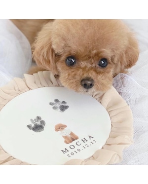 肉球シフォンロゼット