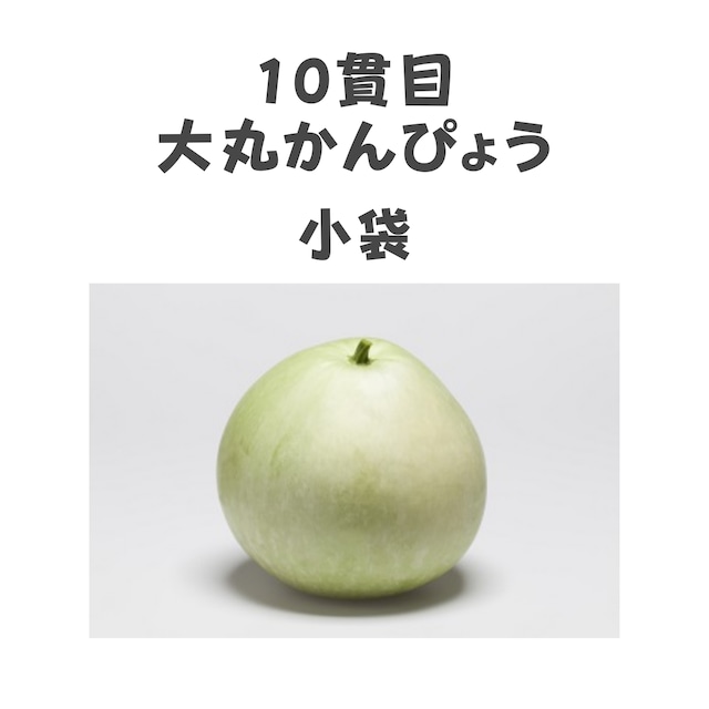 10貫目大丸かんぴょう　カンピョウ種子・小袋