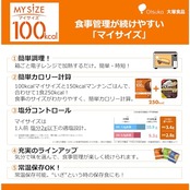 マイサイズ 大塚食品 100kcalマイサイズ キーマカレー 中辛 100g カロリーコントロール レンジ調理対応 塩分2g以下設計