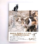 シロくんとパレスチナの猫