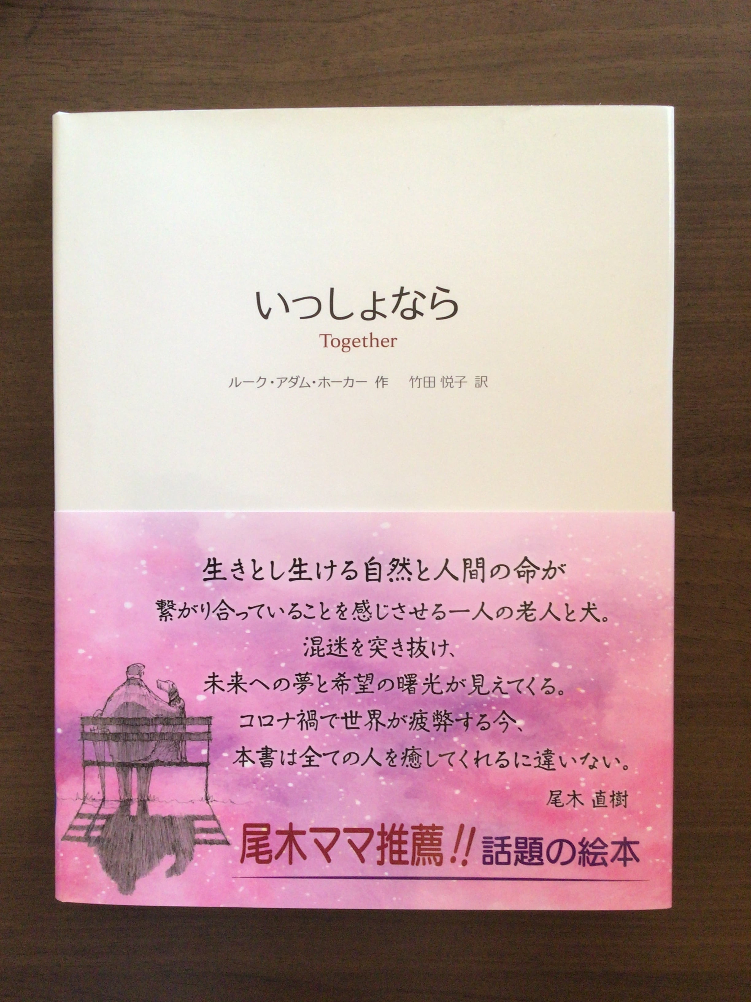 いっしょなら Together ルーク・アダム・ホーカー 作 竹田 悦子 訳 ガイアブックス 26x20cm